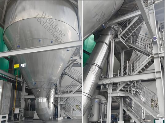 In goedkope en zeer efficiënte algensproeidroogmachine Elektrische verwarming uit de LPG-serie